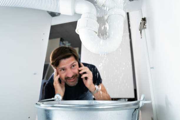 Best Pipe Repair Near Me  in Oakwood, IL